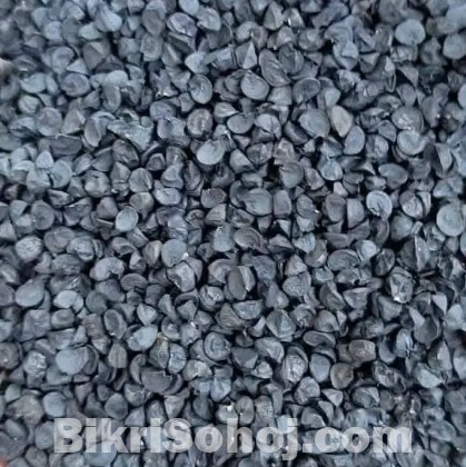 লাল তীর হাইব্রিড জাতের পেঁয়াজের দানা বীজ